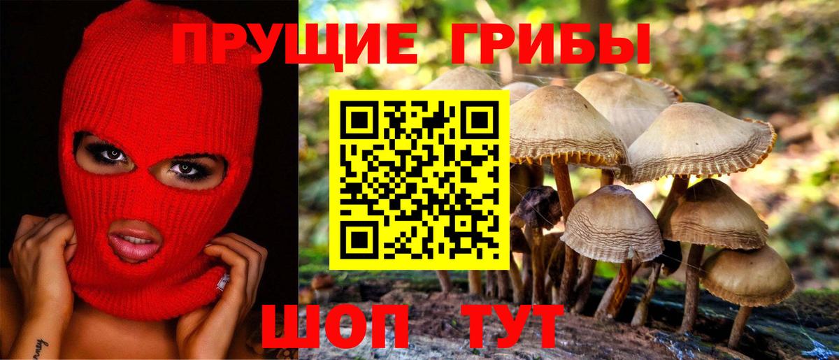 Галлюциногенные грибы Cubensis Железногорск
