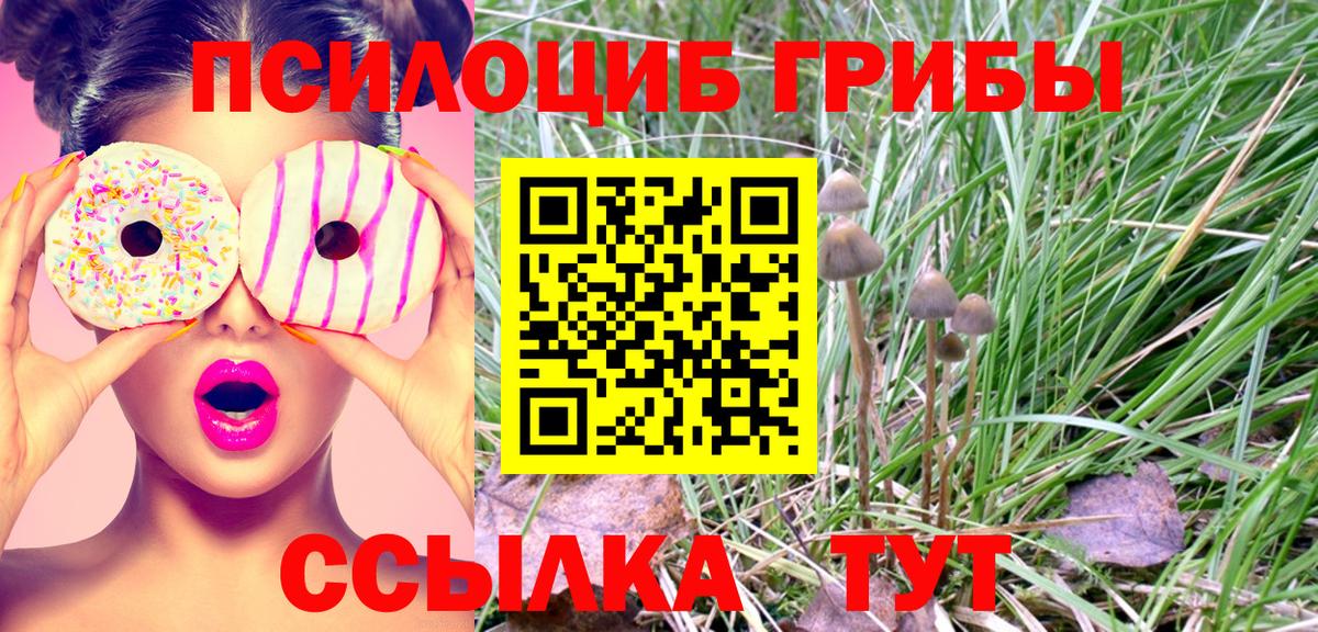 Псилоцибиновые грибы GOLDEN TEACHER  Вход с VPN  Галлюциногенные грибы мухоморы  Железногорск 